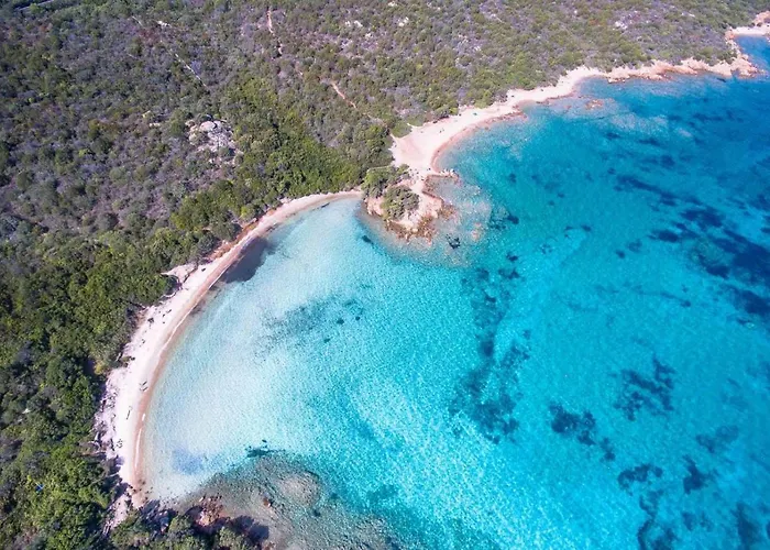 Sardinia Family - Daire *