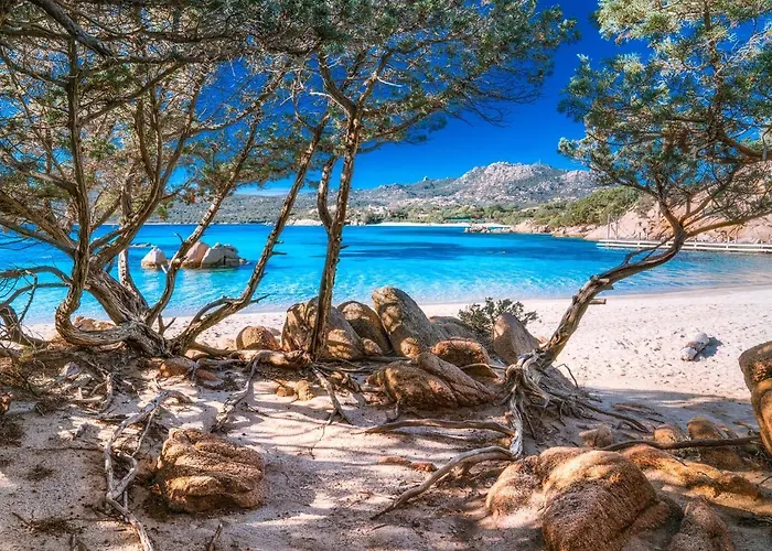 Sardinia Family - * Cannigione